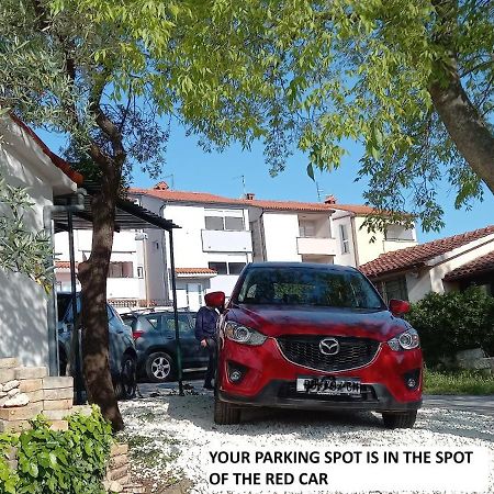 Bilini Garden Apartment Πούλα Εξωτερικό φωτογραφία