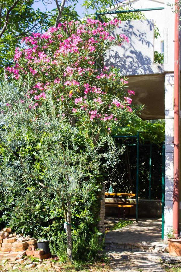 Bilini Garden Apartment Πούλα Εξωτερικό φωτογραφία
